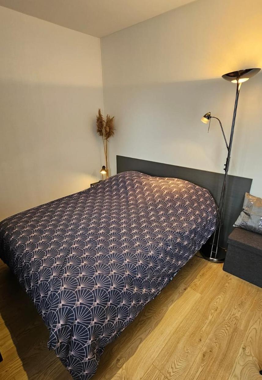 Studio Les Deux Grenouilles 5Mn De Colmar Herrlisheim-près-Colmar Eksteriør billede